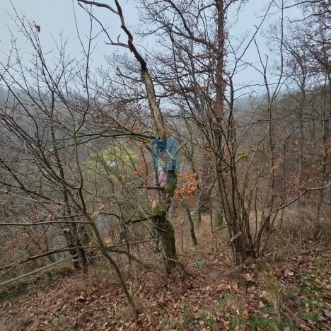 Prodej chaty, Újezd nade Mží, 25 m2