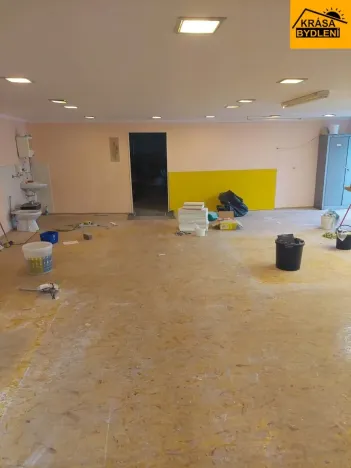 Pronájem obchodního prostoru, Haňovice, 500 m2