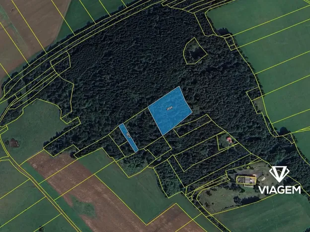 Prodej lesa, Chodská Lhota, 5730 m2