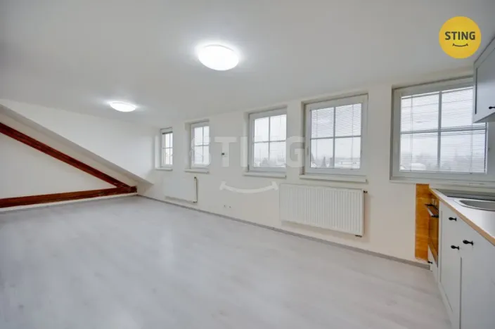 Pronájem bytu 1+kk, Olomouc, Jablonského, 38 m2