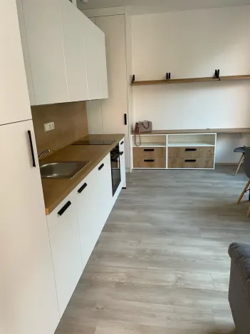 Pronájem bytu 2+kk, Praha - Smíchov, Plzeňská, 32 m2