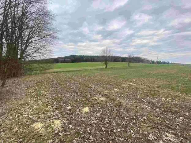 Prodej pozemku, Žinkovy, 4100 m2