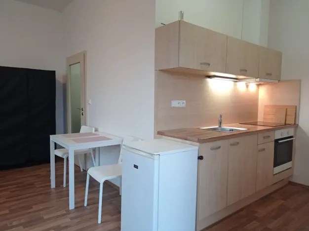 Pronájem bytu 1+kk, Mikulov, Bezručova, 30 m2