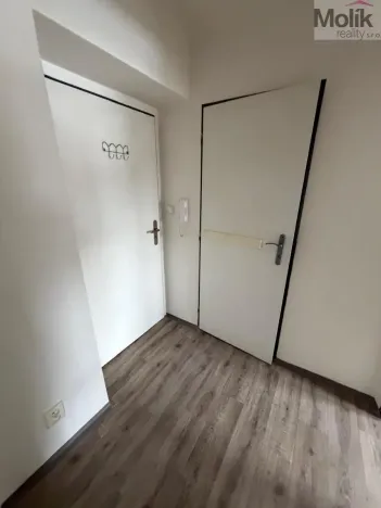 Pronájem bytu 1+1, Most, Lesní, 30 m2