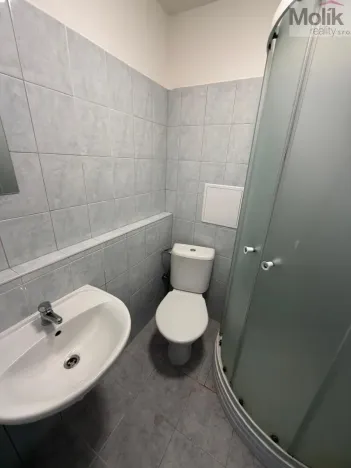 Pronájem bytu 1+1, Most, Lesní, 30 m2