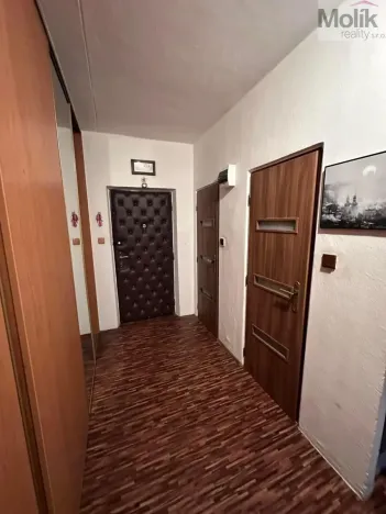 Pronájem bytu 2+1, Most, Vítězslava Nezvala, 53 m2