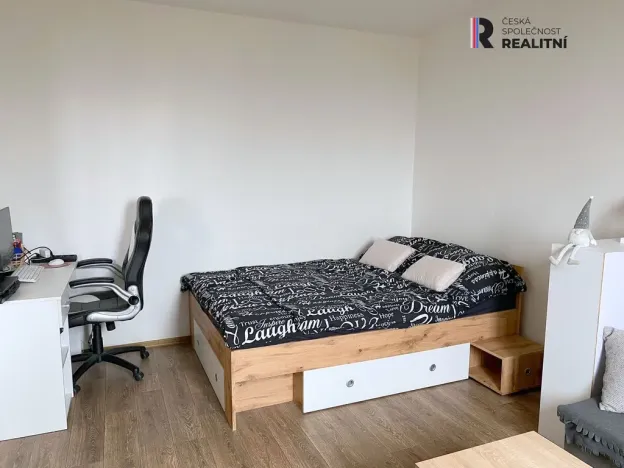 Pronájem bytu 1+1, Sokolov, Švabinského, 39 m2