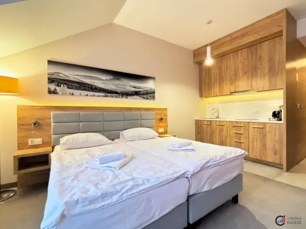 Prodej apartmánu, Dolní Morava, 30 m2