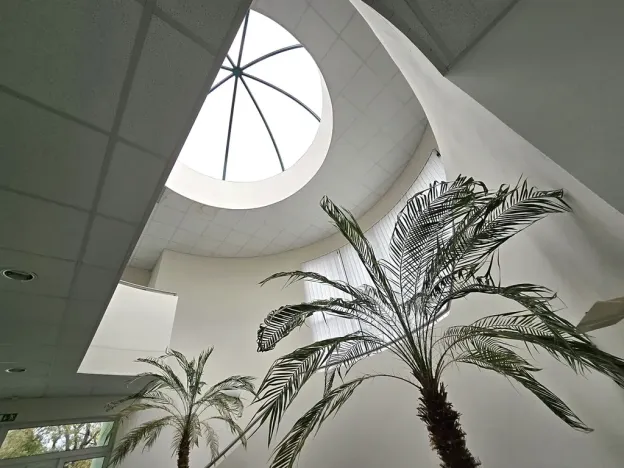 Pronájem výrobních prostor, Brno, Franzova, 785 m2