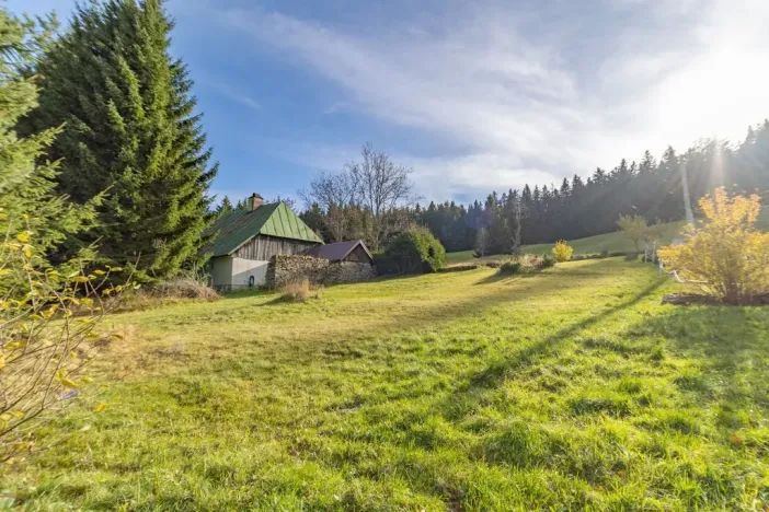 Prodej chalupy, Nicov - Studenec, 180 m2