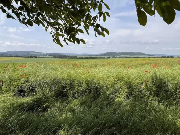 Prodej rodinného domu, Gruna, 851 m2