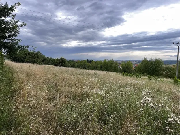 Prodej zahrady, Oslavany, 3447 m2