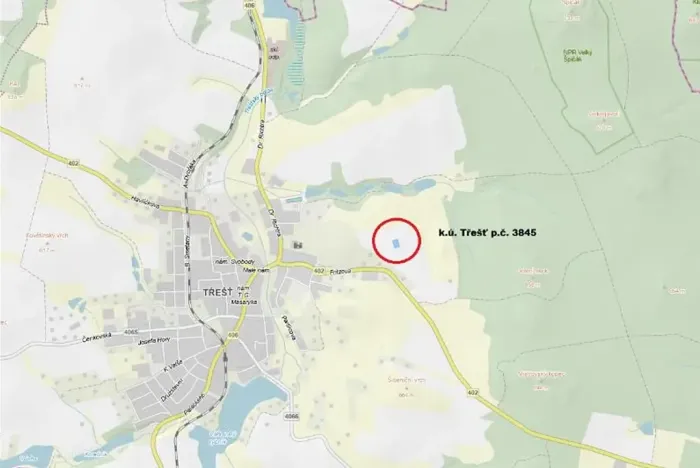 Prodej lesa, Třešť, 1987 m2