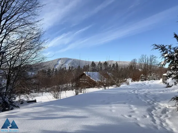 Prodej rodinného domu, Strážné, 180 m2