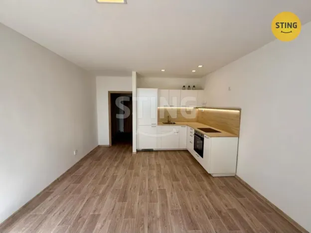 Pronájem bytu 1+kk, Frýdek-Místek, Hasičská, 27 m2