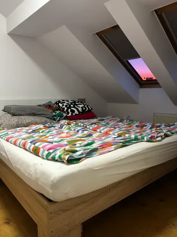 Pronájem bytu 5+1, Praha - Holešovice, Bubenská, 209 m2