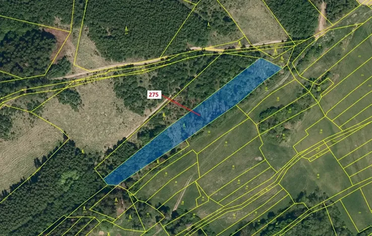 Dražba lesa, Kateřinice, 4826 m2