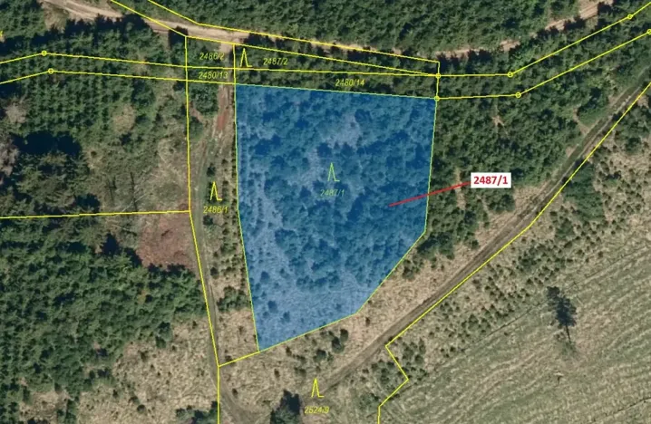 Dražba lesa, Kateřinice, 2083 m2