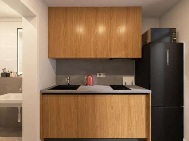 Pronájem bytu 1+1, Brno - Židenice, Bubeníčkova, 25 m2