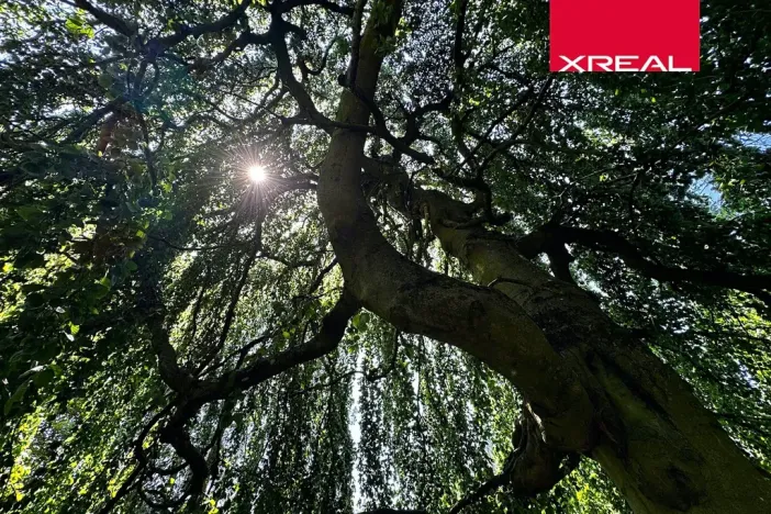 Prodej rodinného domu, Kamenice, Lomená, 157 m2