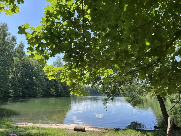 Prodej rodinného domu, Rodvínov, 134 m2