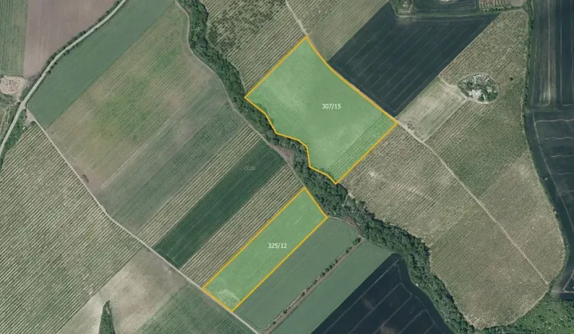 Prodej sadu/vinice, Želkovice, 133318 m2