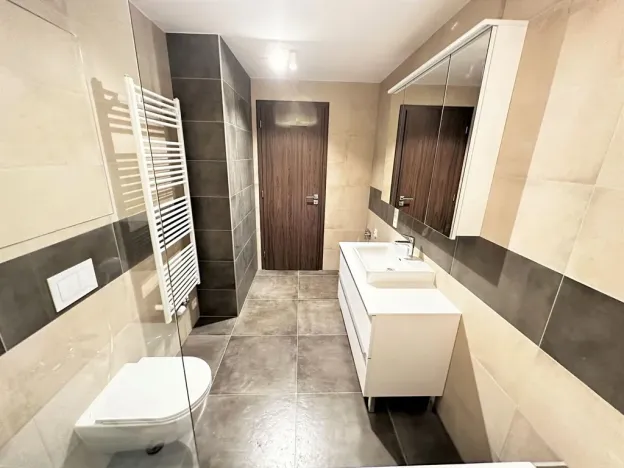 Pronájem bytu 2+kk, Ostrava - Moravská Ostrava, F. X. Riepla, 60 m2