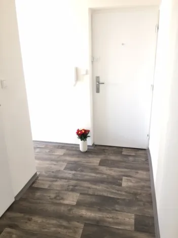 Pronájem bytu 2+1, Ostrava - Hrabůvka, Dr. Martínka, 52 m2