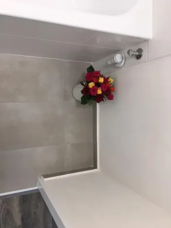 Pronájem bytu 2+1, Ostrava - Hrabůvka, Dr. Martínka, 52 m2