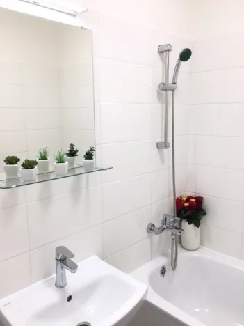 Pronájem bytu 2+1, Ostrava - Hrabůvka, Dr. Martínka, 52 m2