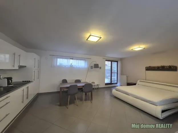 Pronájem bytu 1+kk, Praha - Vinohrady, Francouzská, 60 m2