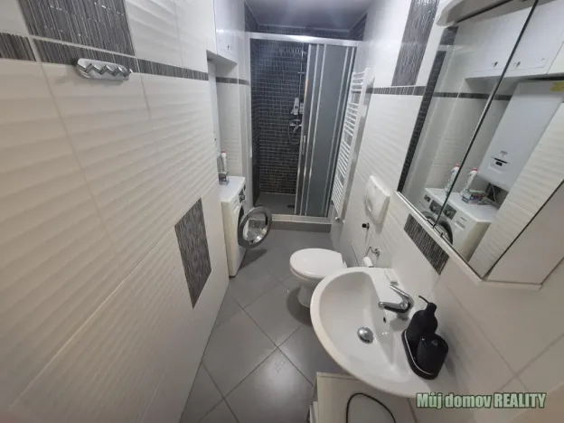 Pronájem bytu 1+kk, Praha - Vinohrady, Francouzská, 60 m2