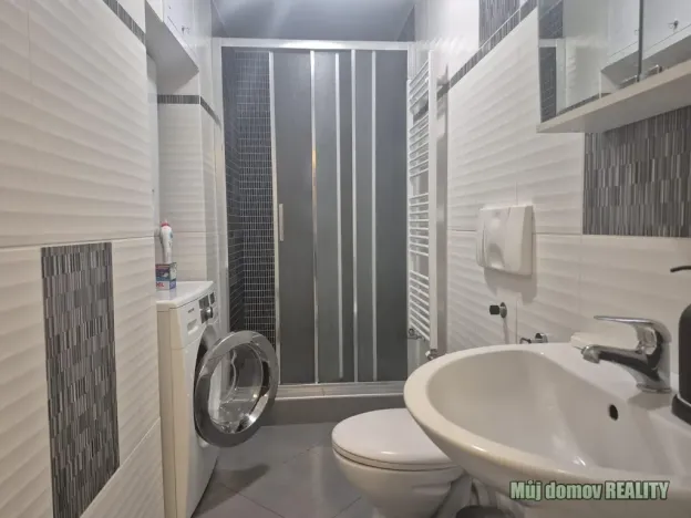 Pronájem bytu 1+kk, Praha - Vinohrady, Francouzská, 60 m2