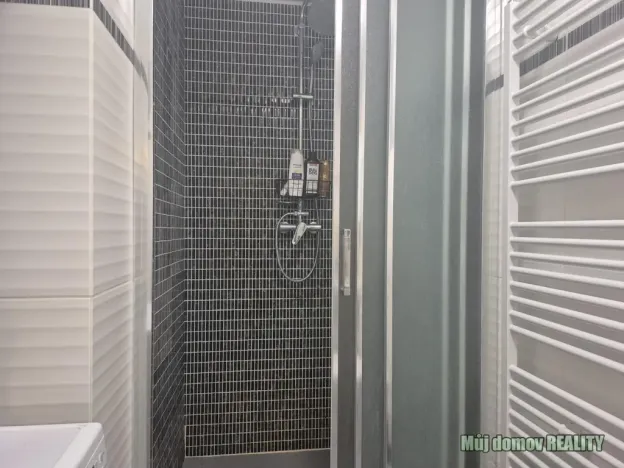 Pronájem bytu 1+kk, Praha - Vinohrady, Francouzská, 60 m2