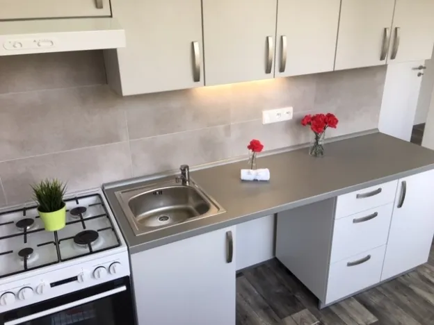 Pronájem bytu 2+1, Ostrava - Hrabůvka, Josefa Kotase, 50 m2