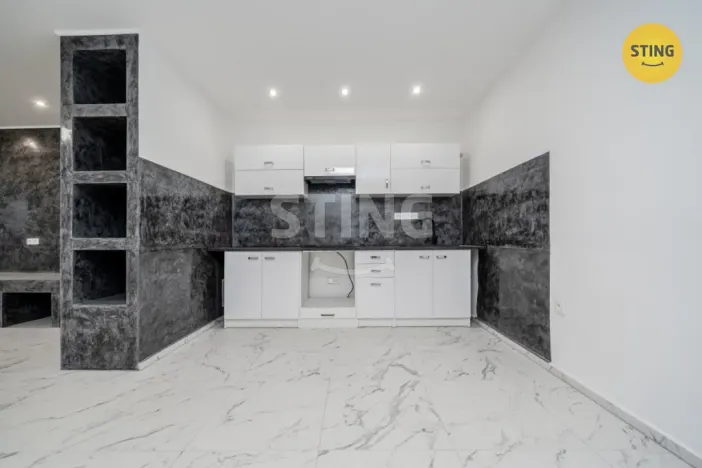 Prodej vícegeneračního domu, Český Těšín, Ropická, 387 m2