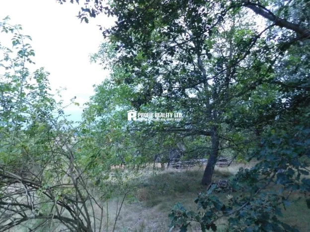 Prodej pozemku pro bydlení, Dubá - Zátyní, 2213 m2