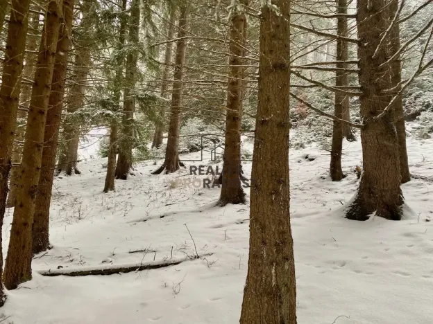 Prodej pozemku pro bydlení, Velké Karlovice, 45173 m2