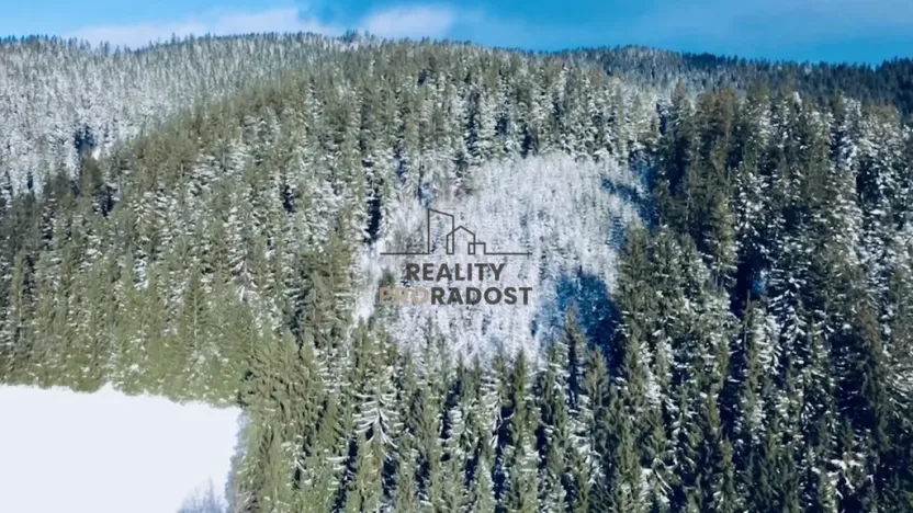 Prodej pozemku pro bydlení, Velké Karlovice, 45173 m2