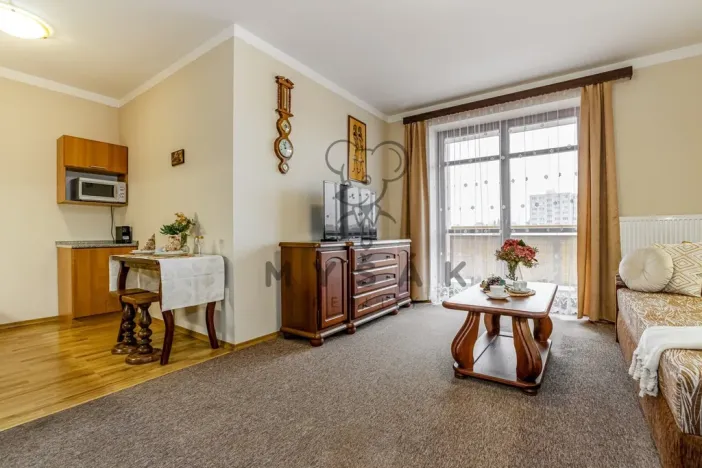 Prodej bytu 2+kk, České Budějovice - České Budějovice 3, U Trojice, 54 m2