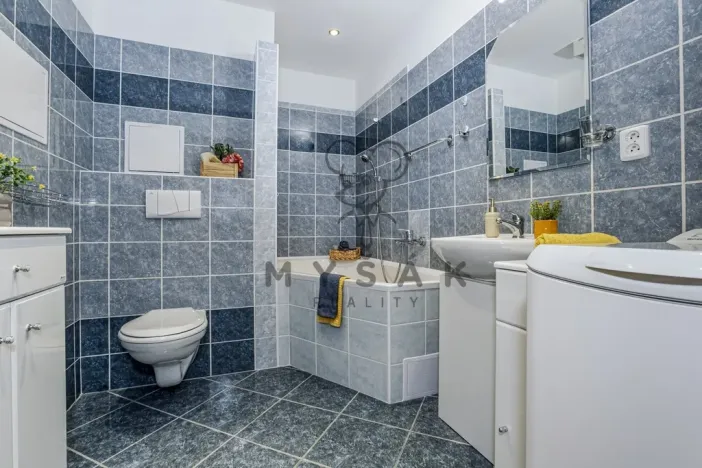 Prodej bytu 2+kk, České Budějovice - České Budějovice 3, U Trojice, 54 m2