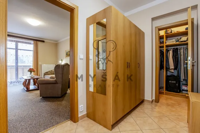 Prodej bytu 2+kk, České Budějovice - České Budějovice 3, U Trojice, 54 m2