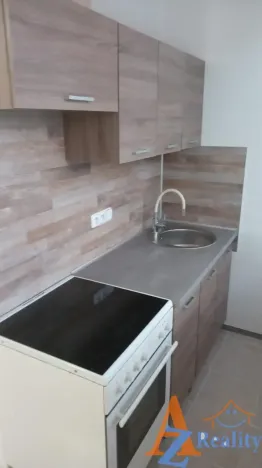 Pronájem bytu 1+kk, Most, K. H. Borovského, 20 m2