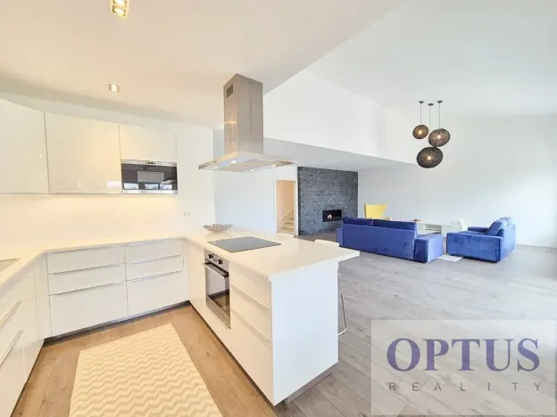 Pronájem bytu 6+kk a větší, Praha - Staré Město, Dušní, 218 m2