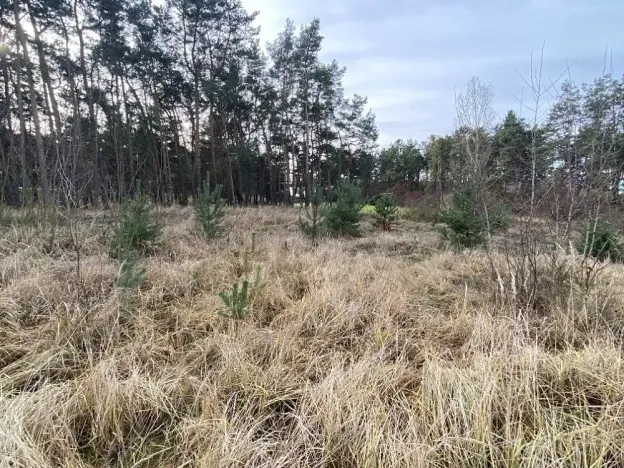 Dražba lesa, Kostelní Lhota, 9438 m2