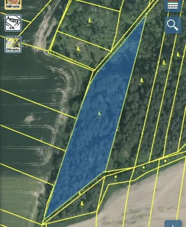 Dražba lesa, Blížejov, 7793 m2