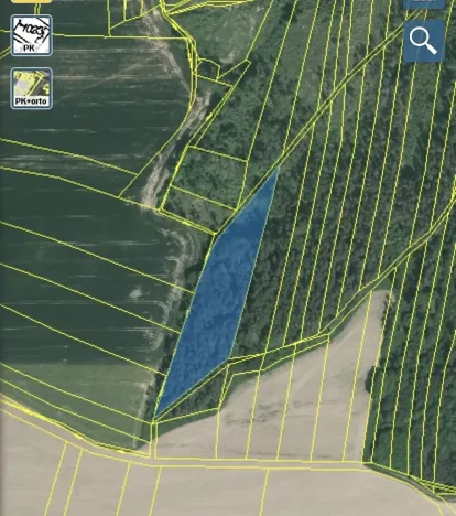 Dražba lesa, Blížejov, 7793 m2