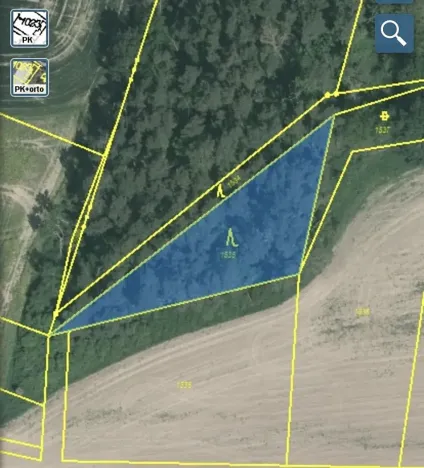 Dražba lesa, Blížejov, 1122 m2