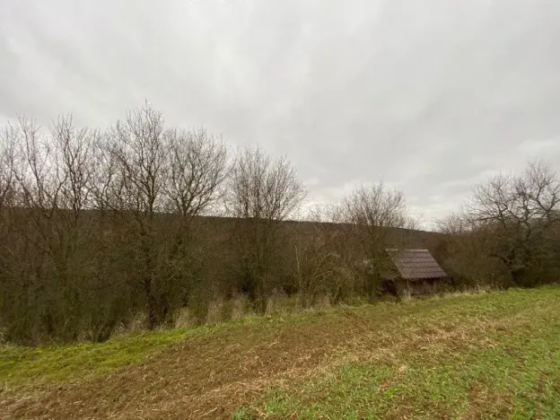 Dražba lesa, Šarovy, 11619 m2