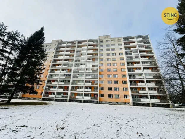 Prodej bytu 1+kk, Pardubice, Grusova, 39 m2